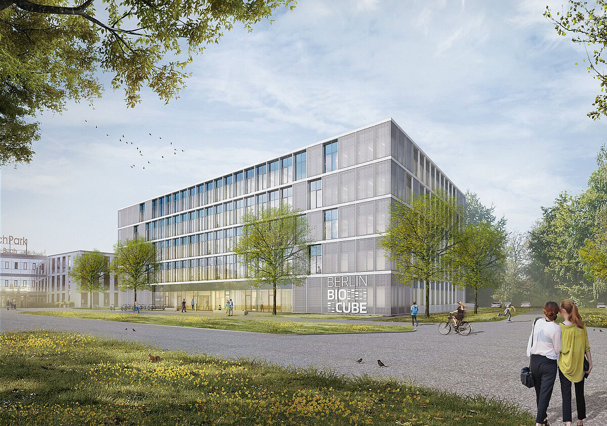 The BerlinBioCube will offer around 8,000 square meters of space on five floors. The BerlinBioCube, incubator for biotech and medtech startups under construction in Campus Berlin-Buch